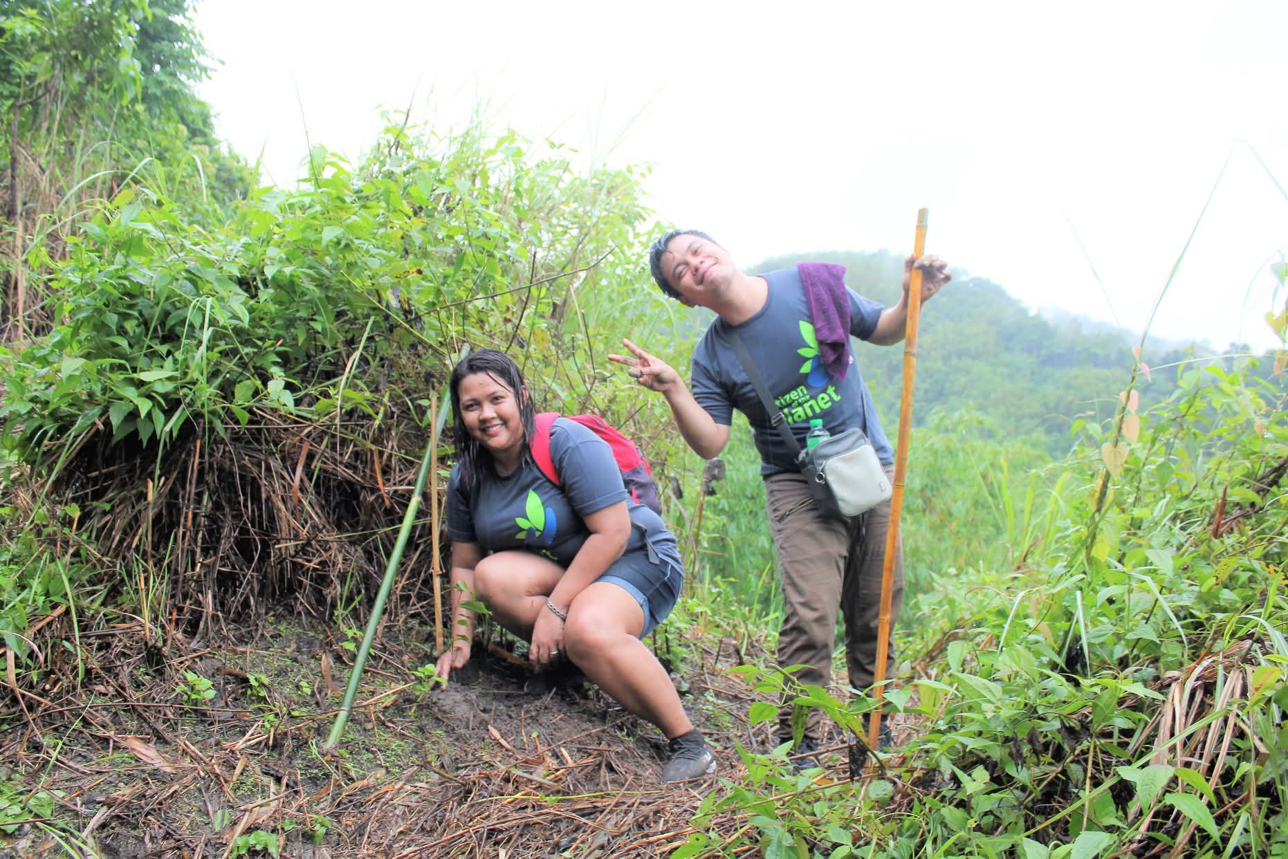 Tree-planting