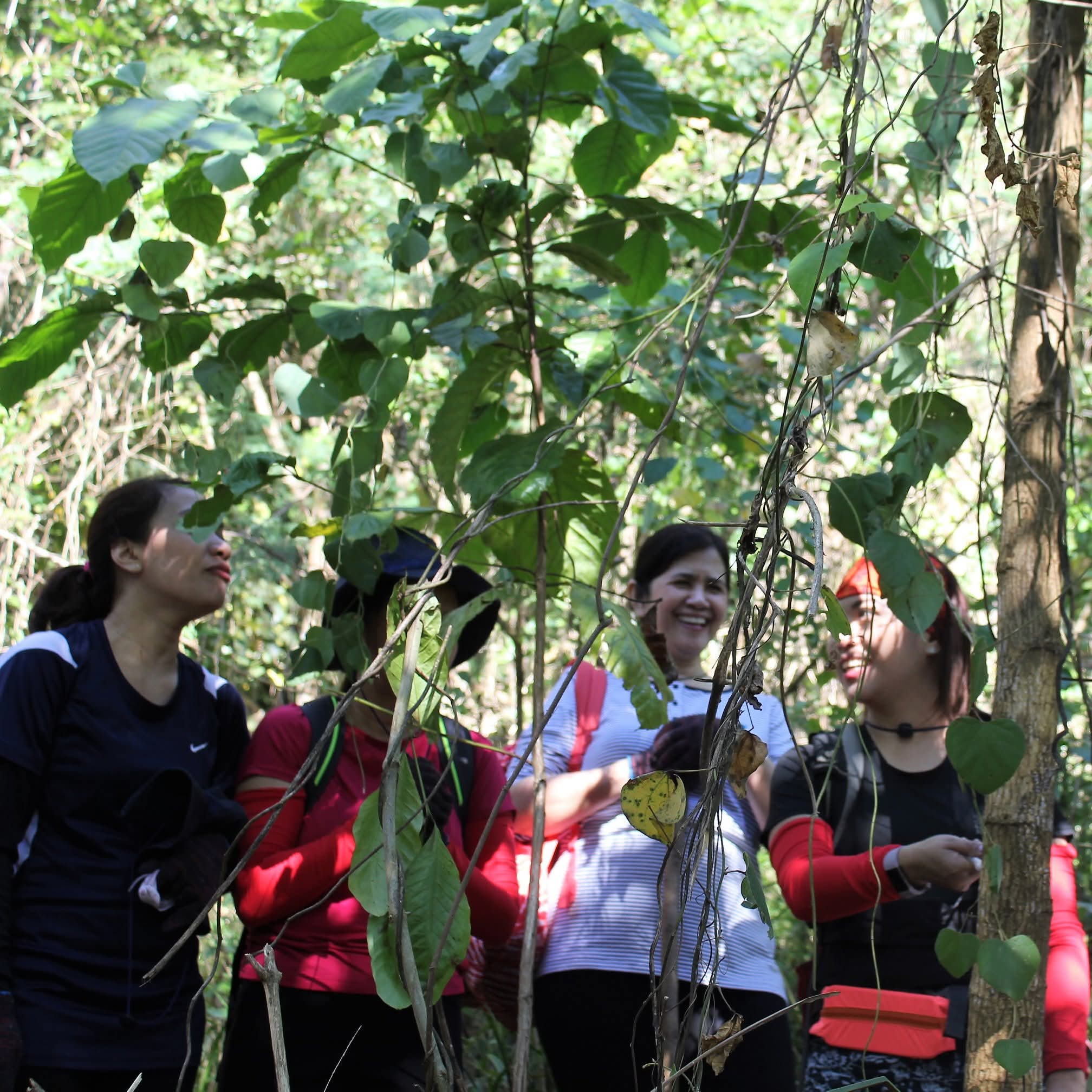 Tree-planting