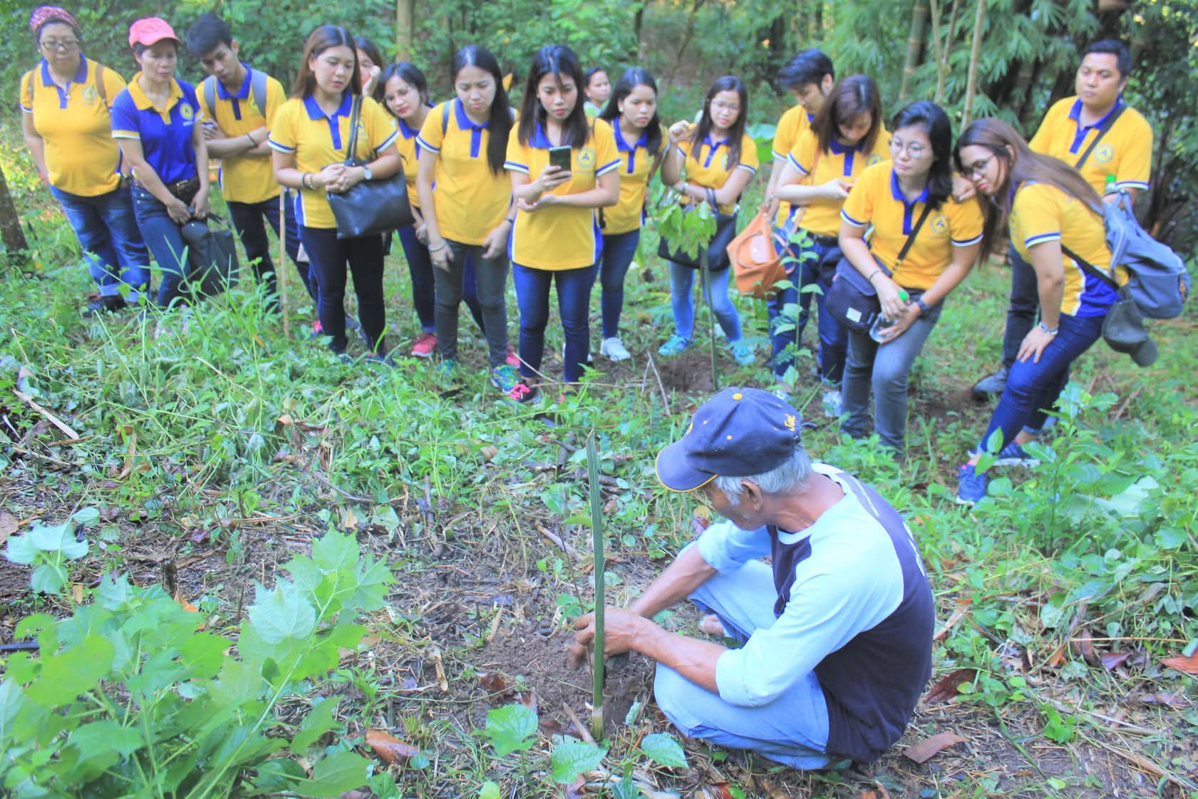 Tree-planting