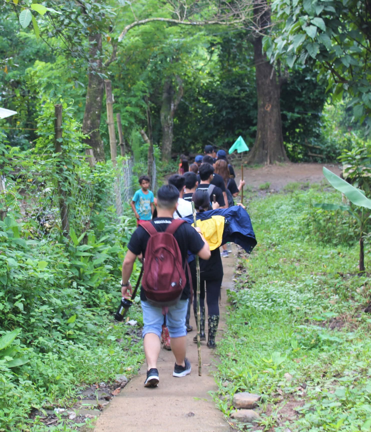 Tree-planting