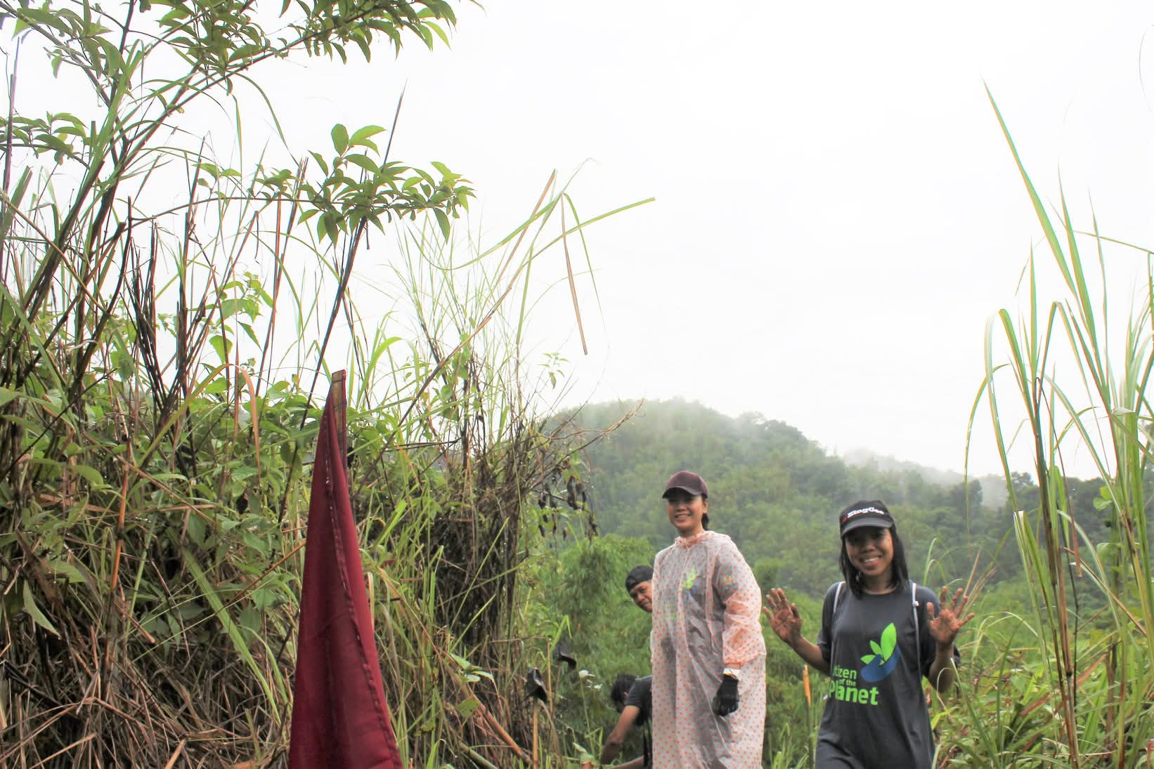 Tree-planting